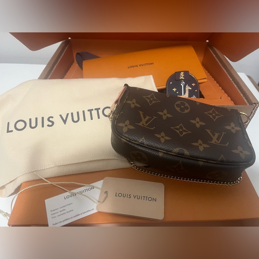 Louis Vuitton Mini Pochette Accessories